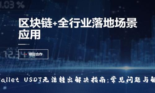 : TP Wallet USDT无法转出解决指南：常见问题与解决方案