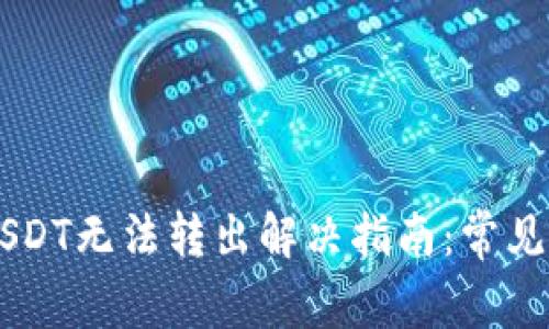 : TP Wallet USDT无法转出解决指南：常见问题与解决方案