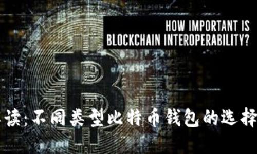 深入解读：不同类型比特币钱包的选择与使用