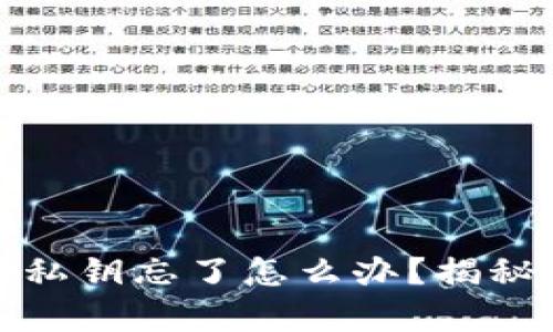tpwallet密码或私钥忘了怎么办?揭秘找回方法与技巧