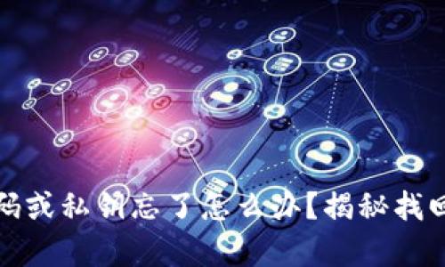 tpwallet密码或私钥忘了怎么办?揭秘找回方法与技巧