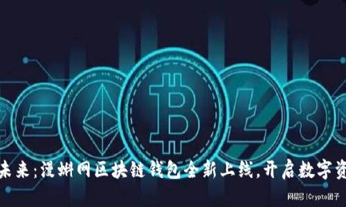 轻松掌控未来：漫蝌网区块链钱包全新上线，开启数字资产新时代