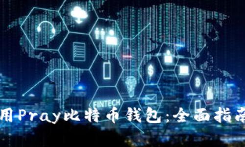 如何安全使用Pray比特币钱包：全面指南与最佳实践