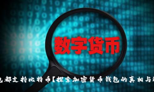 所有钱包都支持比特币？探索加密货币钱包的真相与选择指南