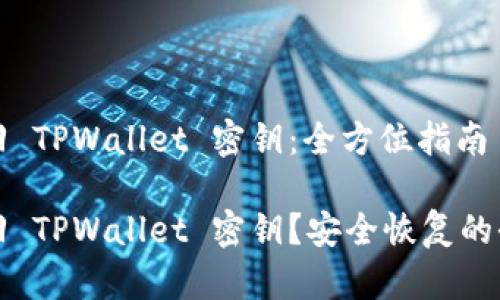如何找回 TPWallet 密钥：全方位指南

如何找回 TPWallet 密钥？安全恢复的全面指南