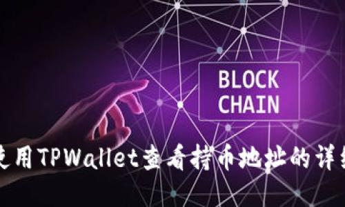 如何使用TPWallet查看持币地址的详细指南