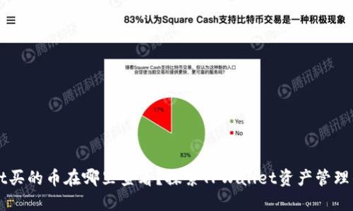 在TPWallet买的币在哪里查看？探索TPWallet资产管理的完整指南