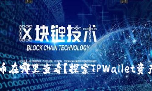在TPWallet买的币在哪里查看？探索TPWallet资产管理的完整指南