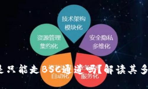 TPWallet：是只能走BSC通道吗？解读其多链支持功能