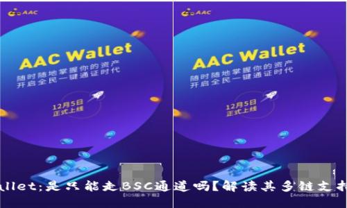 TPWallet：是只能走BSC通道吗？解读其多链支持功能