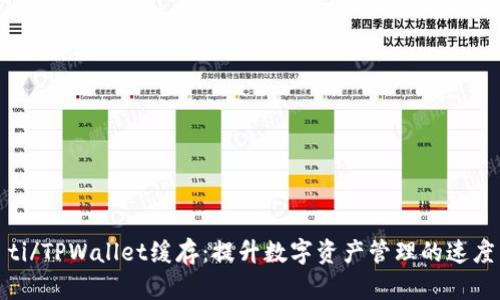 biao­ti/TPWallet缓存：提升数字资产管理的速度与效率