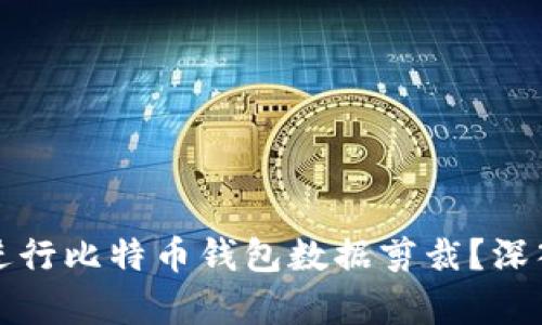 如何高效安全地进行比特币钱包数据剪裁?深入解析与实用指南