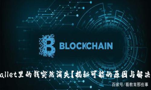 TPWallet里的钱突然消失?揭秘可能的原因与解决方案