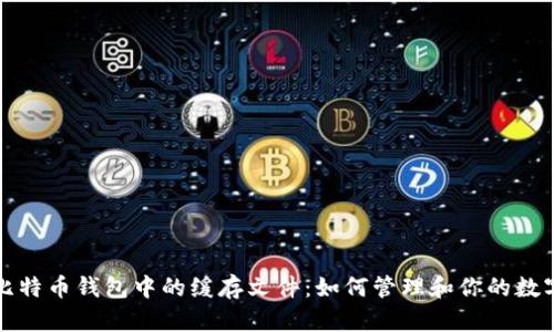 探索比特币钱包中的缓存文件:如何管理和你的数字资产