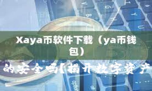 tp冷钱包真的安全吗?揭开数字资产保护的秘密