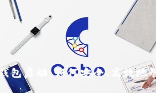 全面解析比特币钱包启动:如何安全、高效地管理您的数字资产