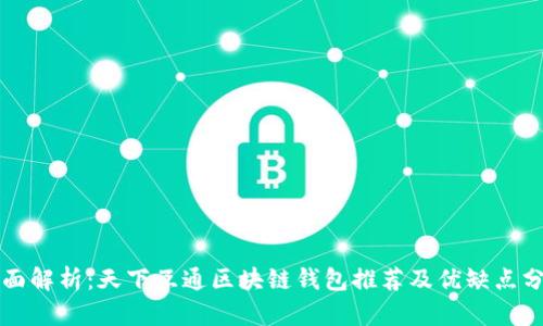 全面解析:天下互通区块链钱包推荐及优缺点分析