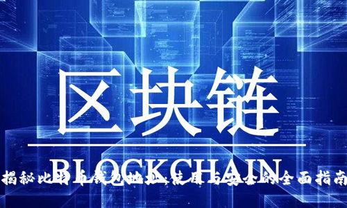 揭秘比特币钱包地址：使用与安全的全面指南