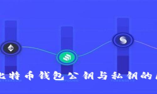 深入解析比特币钱包公钥与私钥的区别与应用