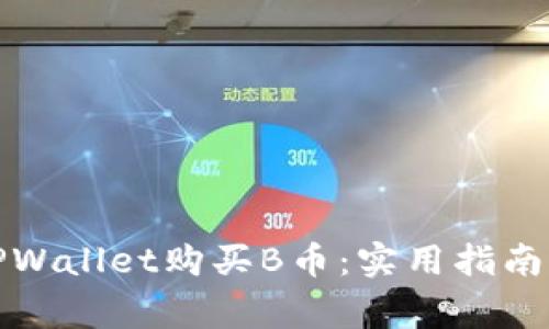 如何通过TPWallet购买B币:实用指南与注意事项