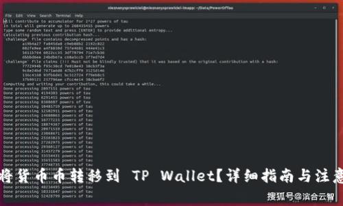 如何将货币币转移到 TP Wallet?详细指南与注意事项