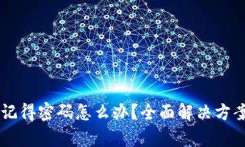 TPWallet只记得密码怎么办？全面解决方案与技巧解析