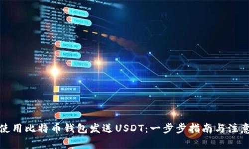 如何使用比特币钱包发送USDT:一步步指南与注意事项