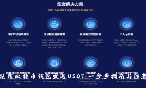 如何使用比特币钱包发送USDT:一步步指南与注意事项