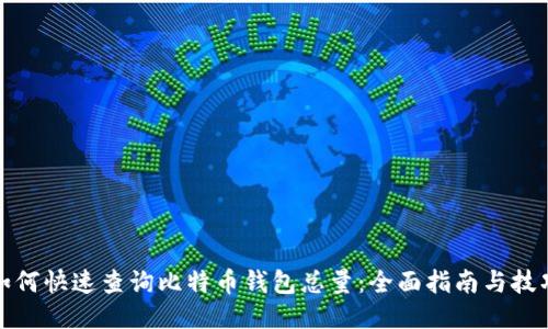 如何快速查询比特币钱包总量：全面指南与技巧