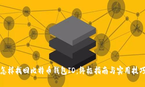 怎样找回比特币钱包ID：终极指南与实用技巧