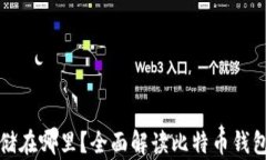 比特币钱包存储在哪里？
