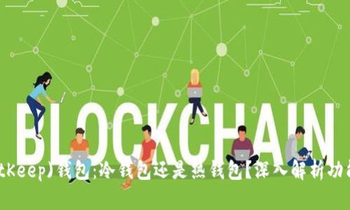 比特库(BitKeep)钱包：冷钱包还是热钱包？深入解析功能与安全性