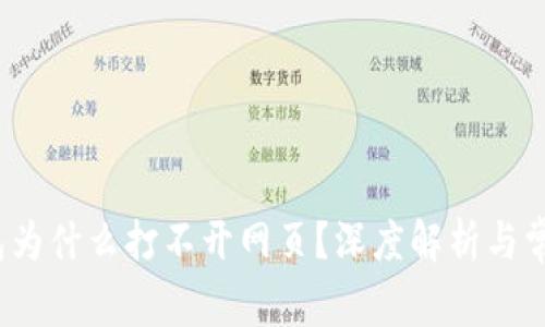 解决：我的TP钱包为什么打不开网页？深度解析与常见问题解决方案