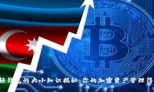 比特币轻钱包的大小知识揭秘：你的加密资产管理得当了吗？