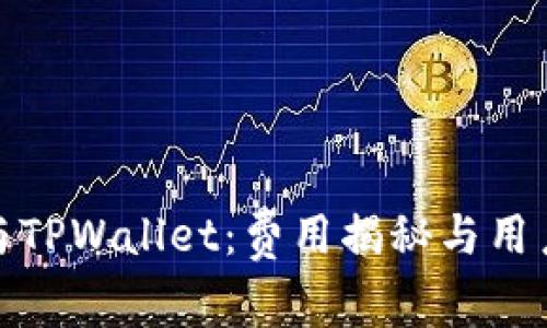 BNB与TPWallet:费用揭秘与用户指南