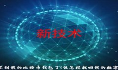 我找不到我的比特币钱包