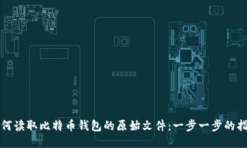 如何读取比特币钱包的原始文件:一步一步的指南