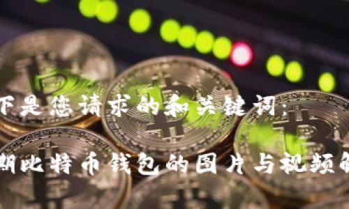 以下是您请求的和关键词:
早期比特币钱包的图片与视频解析