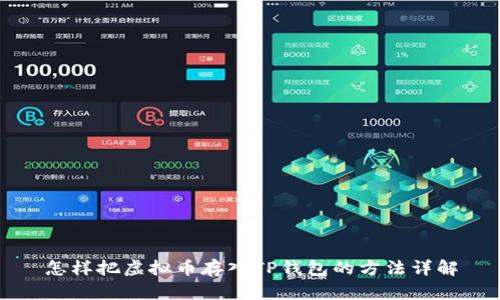 怎样把虚拟币存入TP钱包的方法详解
