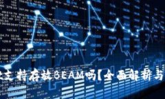 TPWallet支持存放BEAM吗？全