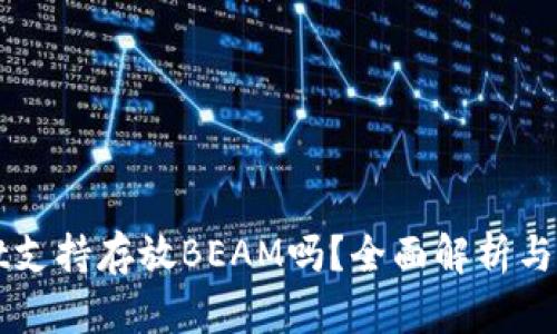 TPWallet支持存放BEAM吗?全面解析与使用指南