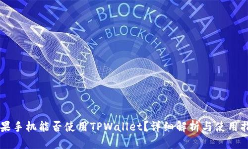 苹果手机能否使用TPWallet?详细解析与使用指南