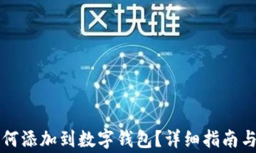 区块链资产如何添加到数字钱包?详细指南与常见问题解答
