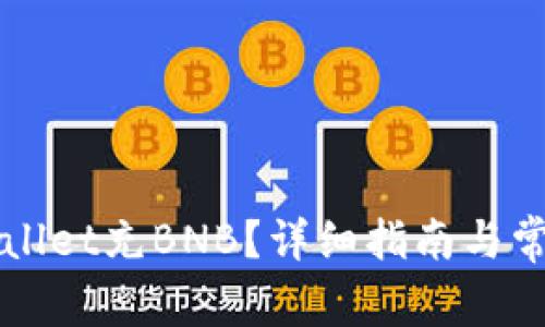 如何向TPWallet充BNB?详细指南与常见问题解答