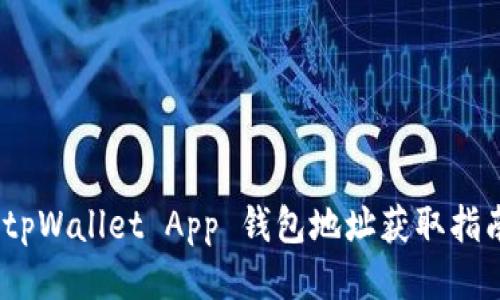 :tpWallet App 钱包地址获取指南