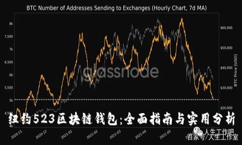 纽约523区块链钱包:全面指南与实用分析