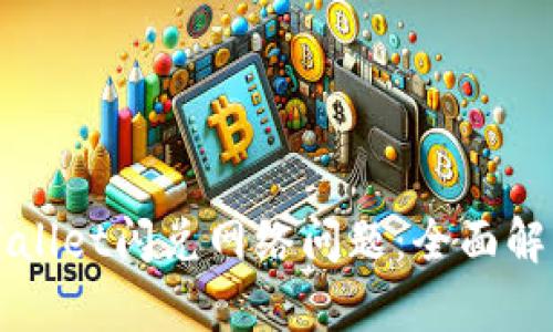 如何解决TPWallet闪兑网络问题:全面解析与解决方案