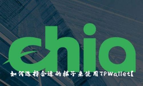 如何选择合适的梯子来使用TPWallet?