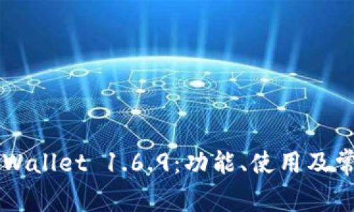 深入解析TPWallet 1.6.9:功能、使用及常见问题指南