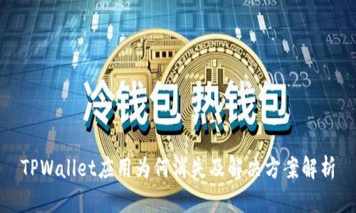 TPWallet应用为何消失及解决方案解析